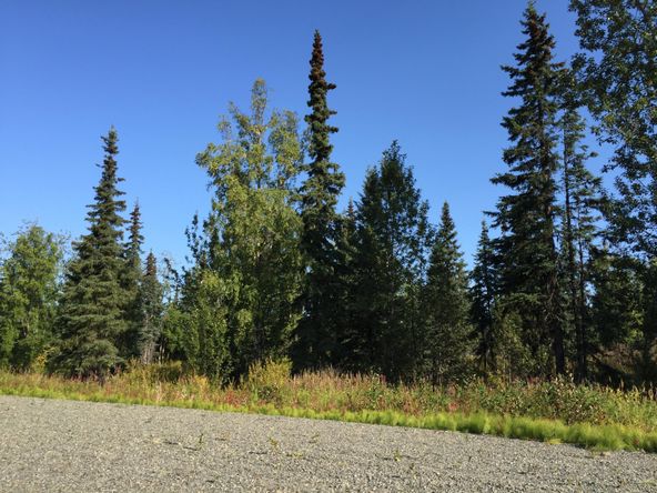 63727 Oil Well Rd, Ninilchik, AK 99639